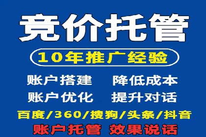 成功案例：SEM竞价托管的策略与效果